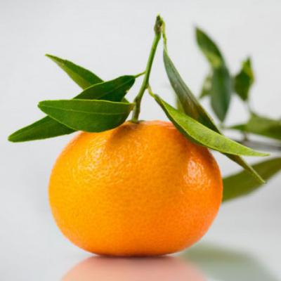 酸甜可口的橘子做微信头像也不错的