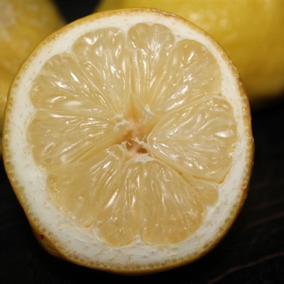 柠檬微信头像图片 切片的酸涩柠檬图片