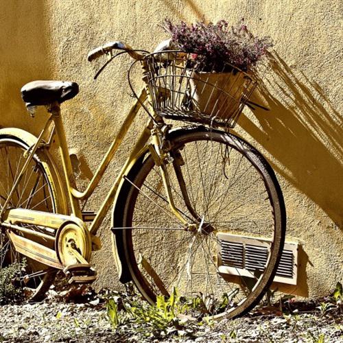 唯美自行车头像，一辆辆很有意境的自行车高清图片