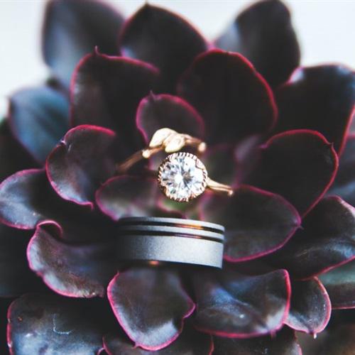 微信头像戒指唯美，美丽鲜花上的结婚戒指图片