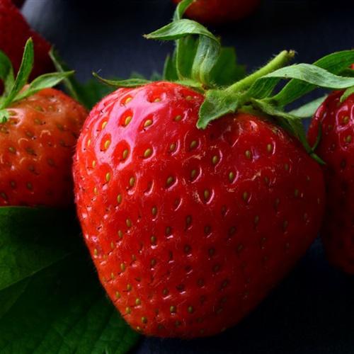 2022年草莓唯美图片头像，特别想吃的我分享给大家了