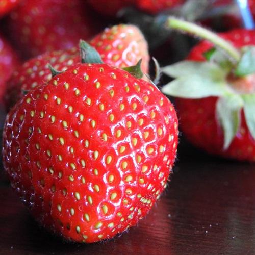 2022年草莓唯美图片头像，特别想吃的我分享给大家了