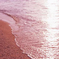海边风景头像图片,粉色沙滩风景图片头像大全