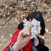 全部是和花有关头戴花朵的,手里拿朵花的女生头像图片