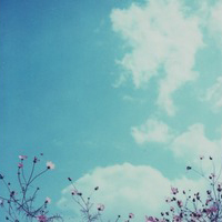 漂亮的天空,白云,好看的花朵唯美空意境个性头像图片合集