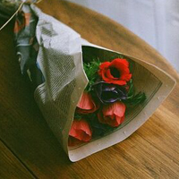 送上爱情之花,玫瑰花头像图片,送给在爱情之河畅游的年轻人
