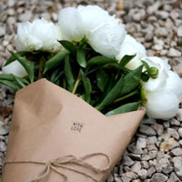 小清新花朵头像,纯洁高贵的白玫瑰图片