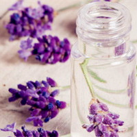 紫色花朵头像,唯美紫色的花朵头像图片35P