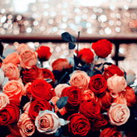 阿宝色红玫瑰个性头像,送给最亲爱的人