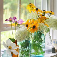 清新花朵头像图片,窗台上优美的花朵