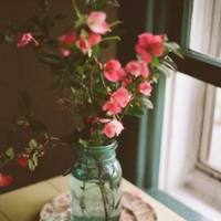 唯美花卉瓶装优美的花朵头像图片