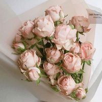 花卉温馨粉色花朵花束唯美头像图片
