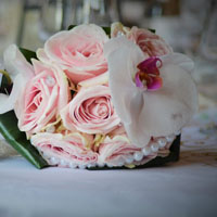 粉色的玫瑰艳丽头像图片，粉嫩嫩的花瓣透着股清新淡雅