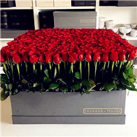 好看的红玫瑰图片头像，把最好看的玫瑰送给最爱的人