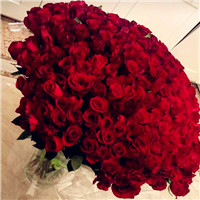 好看的红玫瑰图片头像，把最好看的玫瑰送给最爱的人