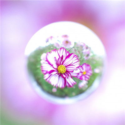 个性经典头像，原创水滴的中心是花朵图片