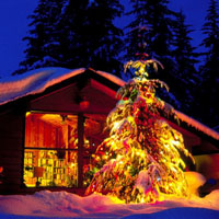 圣诞树头像,平安夜圣诞树唯美图片
