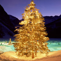 圣诞树头像,平安夜圣诞树唯美图片