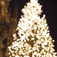 圣诞树头像,德国的圣诞树图片