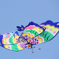 可爱风筝个性头像图片_让我们的梦想放飞,让我们更加自由