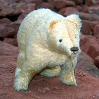 孩子都喜欢的玩具泰迪熊可爱头像_用于儿童玩耍的填充玩具熊