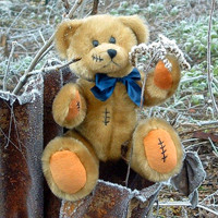 孩子都喜欢的玩具泰迪熊可爱头像_用于儿童玩耍的填充玩具熊