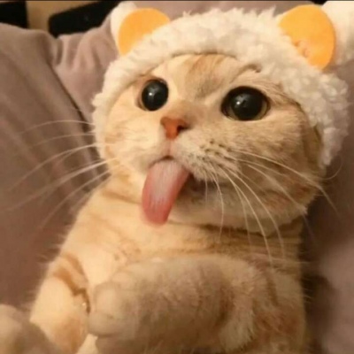 超级可爱的小猫咪头像图片2021最新