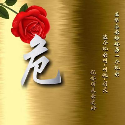 励志姓氏头像，红色玫瑰花金色背景主题