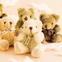 毛茸茸可爱的泰迪熊头像图片,是孩子们的亲密伴侣