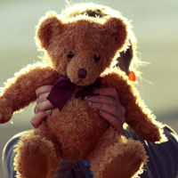 毛茸茸可爱的泰迪熊头像图片,是孩子们的亲密伴侣