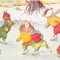 兔子的一家,幸福快乐又团结的一家