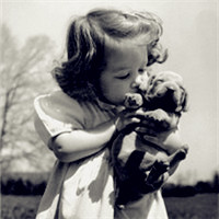 小男孩子与狗狗,美女与狗狗的头像图片,小动物的合集