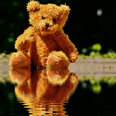 可爱的毛绒玩具熊微信头像图片