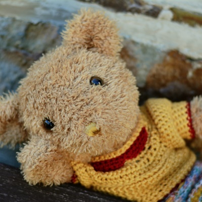 可爱毛绒熊头像 可爱的玩具熊图片