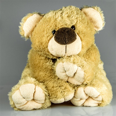 可爱毛绒熊头像 可爱的玩具熊图片