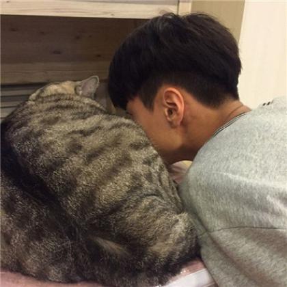 男生抱猫头像真人，喜欢猫咪的男生有点意思