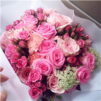 最漂亮的玫瑰花的图片头像，送给每天支持本站的亲们