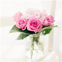 最漂亮的玫瑰花的图片头像，送给每天支持本站的亲们