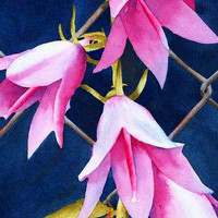 彩铅手绘花卉头像图片 色彩丰富且细腻