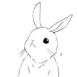 简单又好看的手绘兔子头像黑白的