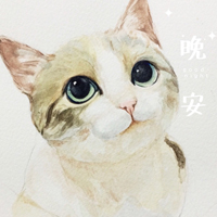 手绘猫猫,萌萌的眼神,喜欢小猫的来吧