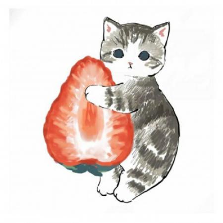 手绘小猫可爱微信头像，小猫抱着水果美食的