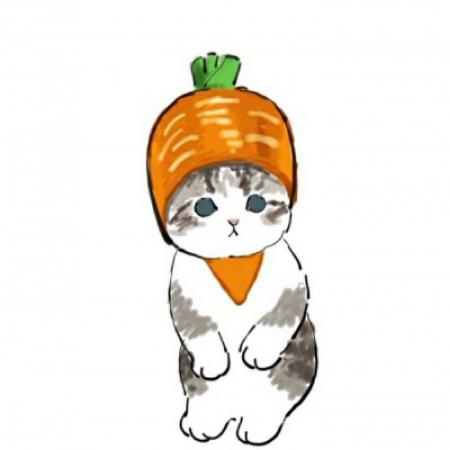 手绘小猫可爱微信头像，小猫抱着水果美食的