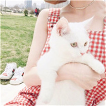 抱猫女头像 怀里抱有猫的女生头像清新图片