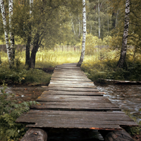 微博风景头像,唯美漂亮的木桥图片