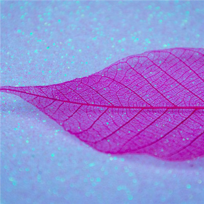 叶子微信图片 玫红色叶子素材图片