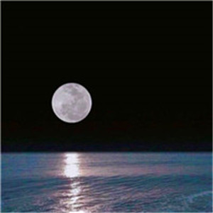 意境风景月亮头像图片 是月亮照亮了黑夜