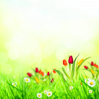 漂亮好看春天为主题的唯美绿色风景头像_春天的的绿色是我的最好