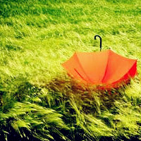 小红伞唯美头像,遗落后的孤独雨伞受过伤的人