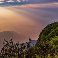 四川峨眉山风景图片,高山青松太美丽了
